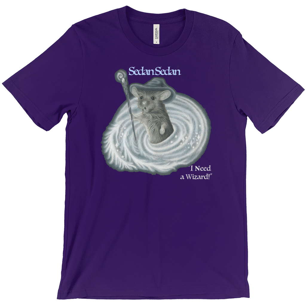 Apparel-DTG-TShirt-Bella-3001-XS-TeamPurple-Unisex-CF-20241210184803860