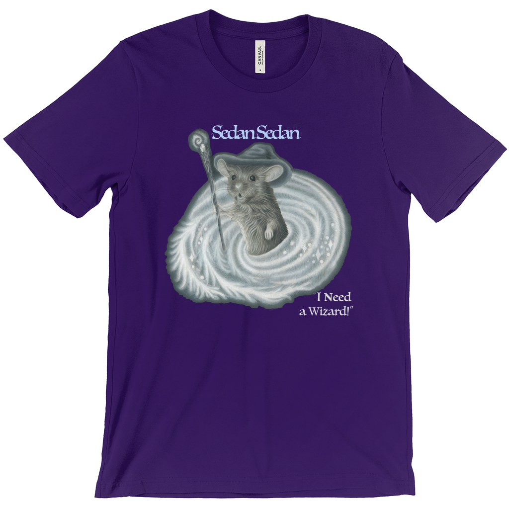 Apparel-DTG-TShirt-Bella-3001-4XL-Purple-Mens-CF-20241210184803860